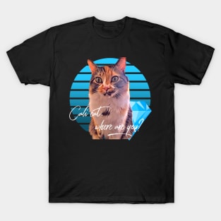 Cali Cat, where are you? T-Shirt